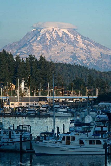 Mt. Rainier Viewed From Gig Harbour   -  Washington   USA Gig Harbor Washington, Gig Harbor Wa, Park Forest, Gig Harbor, Washington Usa, Mt Rainier, Iconic Photos, Seattle Washington, Places Around The World