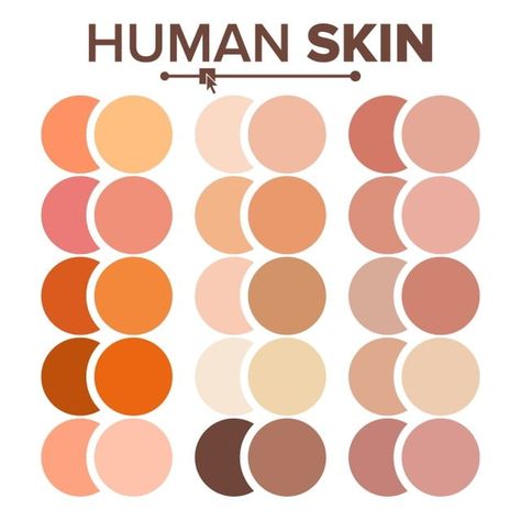 Human Skin Texture, Skin Color Chart, Skin Tone Color, Purple Colour Shades, Texture Palette, Skin Palette, Summer Vector, Human Vector, Skeleton Illustration