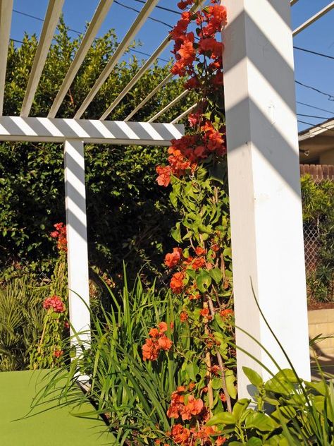 Stay cool this summer with our best shade-making ideas from Jamie Durie and other top HGTV.com designers. Pergola Canopy Diy, Wisteria Pergola, White Pergola, Pergola Diy, Pergola Swing, Backyard Shade, Pergola Lighting, Pergola Canopy, Deck With Pergola