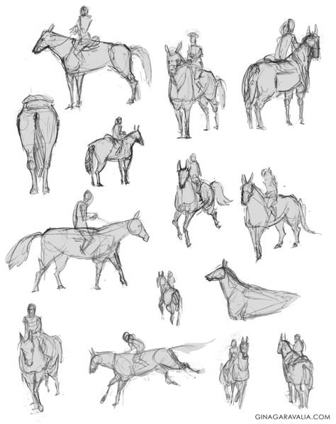 Horse And Rider Reference Drawing, Horseriding Reference, Person On Horse Drawing Reference, Guy On Horse Reference, Horseback Riding Reference, Sitting On Horse Pose Reference, Man Riding Horse Drawing, Horse Rider Reference, Horse Riding Drawing Reference