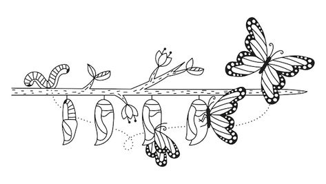 Caterpillar to butterfly lifecycle vecto... | Premium Vector #Freepik #vector #colouring #doodle-illustration #doodle-art #hand-drawn-illustration Caterpillar To Butterfly Drawing, Butterflies Doodle, Caterpillar Drawing, From Caterpillar To Butterfly, Butterfly Line Drawing, Butterfly Lifecycle, Caterpillar To Butterfly, Butterfly Caterpillar, Butterfly Journal