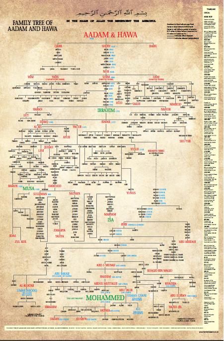 Family Tree of Aadam and Hawa Family Tree Of Adam And Hawa, Tata Family Tree, All Prophets In Islam, Adam And Hawa, Tafsir Coran, Prophets In Islam, Mekka Islam, Muslim Religion, Islam Marriage