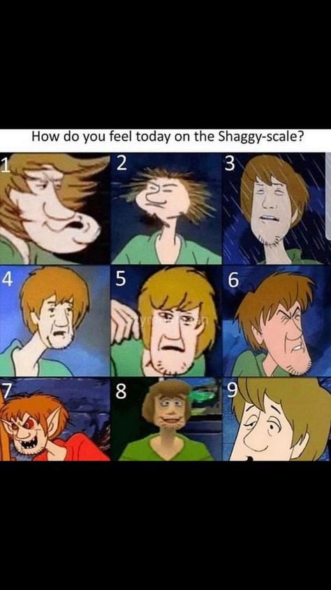 On A Scale Of How Are You Feeling, Scooby Doo Meme, Shaggy Fanart, Scooby Doo Funny, Shaggy Memes, Mood Scale, Scooby Doo And Shaggy, Scooby Doo Shaggy, Scooby Doo Memes