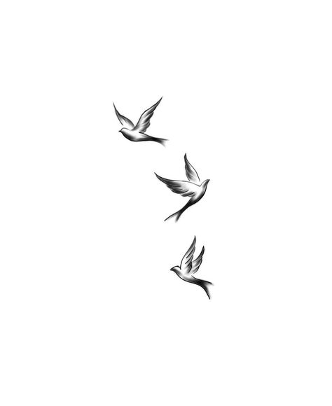 3 Birds Tattoo Design, 5 Birds Tattoo, Forearm Bird Tattoo Women, Birds On A Branch Drawing, Turtle Doves Tattoo, Swift Tattoo Birds, Tiny Bird Tattoos For Women, Tiny Birds Tattoo, Flying Bird Tattoos