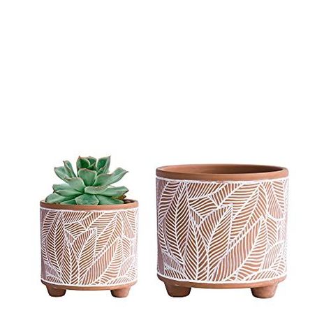 Cheap Planters, Terra Cotta Planters, Planters For Indoor Plants, Leave Pattern, Ceramic Planter Pots, Pattern Ceramic, Spring Plants, Terracotta Planter, Ceramic Flower Pots