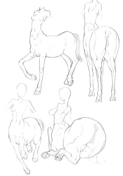 Medical Prints, Disney Sketches, Creature Drawings, Mythical Creatures Art, Creature Concept Art, Anatomy Art, Art Poses, Drawing Base, Drawing Reference Poses