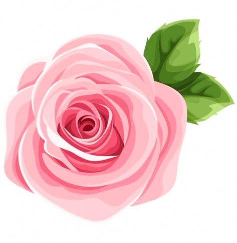 Rose Flower Hd, Pink Rose Png, Red Rose Png, Rose Flower Png, Flower Border Clipart, Flower Border Png, Yellow Rose Flower, Flower Png Images, Flower Frame Png