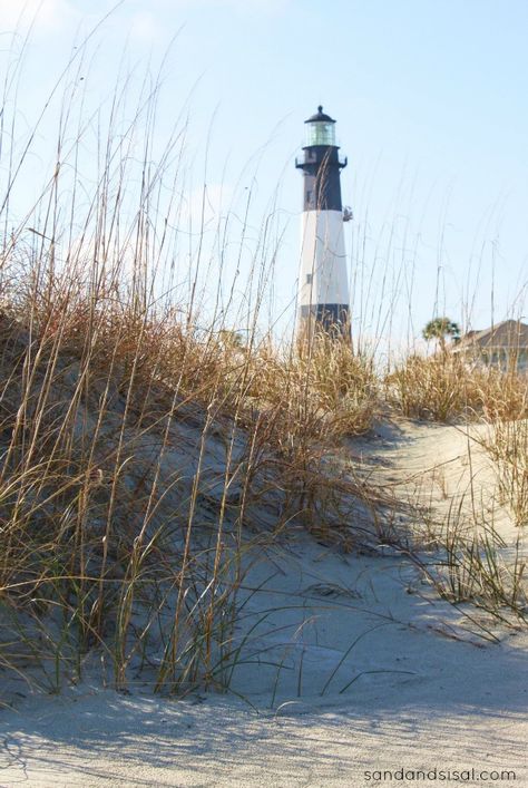 Tybee Island, near Savannah Tybee Island Georgia Photography, Tybee Island Georgia Aesthetic, Georgia Lighthouses, Lighthouse Island, Tybee Island Lighthouse, Tybee Island Georgia, Lighthouse Pictures, Tybee Island, Georgia On My Mind