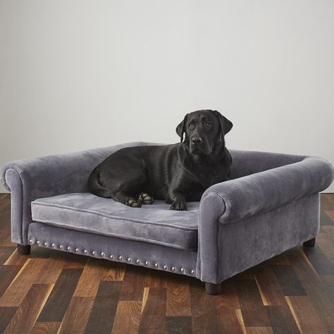 Found it at Wayfair - Jackson Dog Sofa Extra Large Dog Bed, Pet Sofa Bed, Dog Couch, Dog Sofa Bed, Pet Sofa, Cool Dog Beds, Orthopedic Dog Bed, Dog Rooms, Dog Bed Large