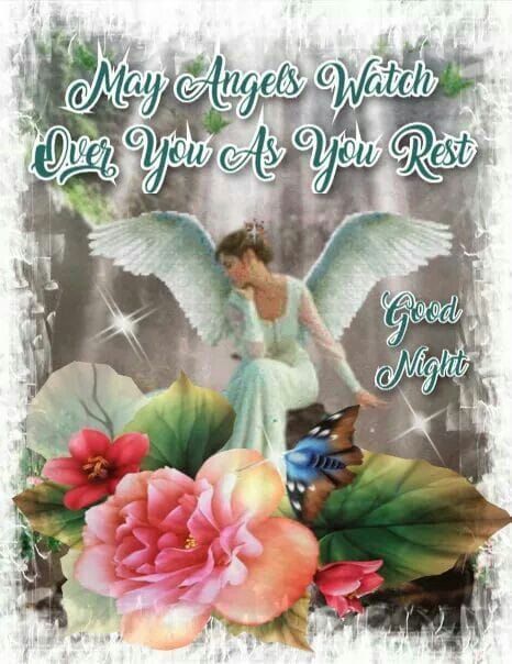 May angels watch over you as you rest quotes goodnight good night good night quotes good night images best good night quotes good night pic Angel Sayings, Rest Pictures, Over You Quotes, Best Good Night Quotes, Good Night Pic, Good Night Angel, Rest Quotes, Thursday Pictures, Night Angel