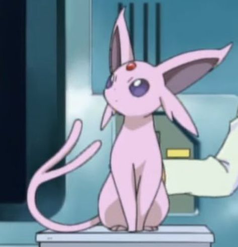 Espeon And Umbreon, Pokemon Espeon, Umbreon And Espeon, Staring Contest, Pokémon Team, Eevee Evolution, Pokemon Eeveelutions, Pokemon Team, Eevee Evolutions