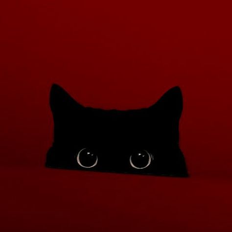 Red Aesthetic Square Pictures, Dark Red Character, Black Cat Red Background, Red Pfps For Discord, Dark Feminine App Icons, Aesthetic Dark Red Icon, Angry Red Aesthetic, Dark Red Profile, Aesthetic Red Photos