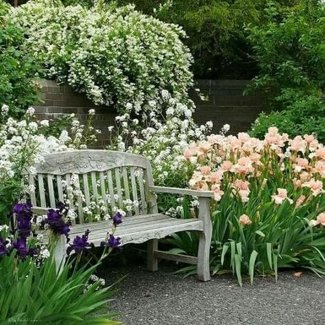 Cottage Garden Design, English Cottage Garden, Garden Design Plans, Moon Garden, Memorial Garden, White Gardens, Perennial Garden, Garden Cottage, Garden Bench