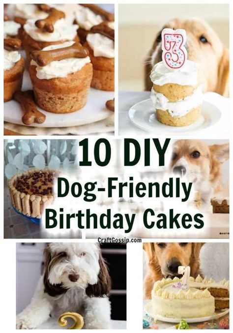 10 DIY Safe Dog-Friendly Birthday Cakes – Edible Crafts Peanut Butter Dog Cake, Easy Dog Cake, Homemade Dog Cake, Dog Safe Cake Recipe, Dog Cake Recipe, Diy Safe, Dog Friendly Cake, Dog Birthday Cake Recipe, Dog Cake Recipes