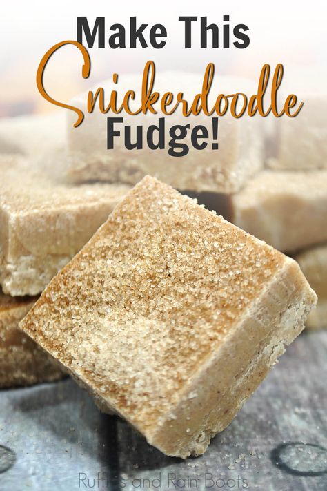 Snickerdoodle Fudge Easy, September Baking, Xmas Fudge, Snickerdoodle Fudge, Peppermint Fudge Recipe, Sweet Board, How To Make Fudge, Easy Fudge, Peppermint Fudge