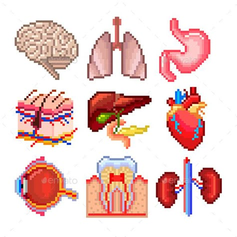 Graph Pictures, Body Icons, Pixel Art Tutorial, Human Body Parts, Art Pixel, Pixel Pattern, Beaded Cross Stitch, Pixel Art Pattern, Bead Ideas