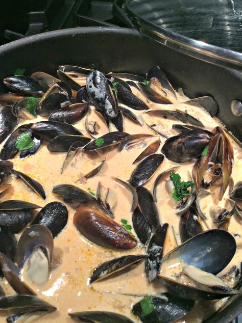 Coconut Curry Mussels, Mussels Recipes, Mussel Recipes, Desserts On A Budget, Curry Broth, Curry Mussels, Thai Salmon, Thai Sauce, Mussels Recipe