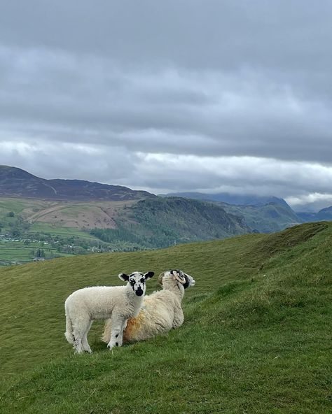 📍 Latrigg, The Lake District 3.5km | 1 hour Route details below 👇 Rising gracefully to an elevation of 368 meters, Latrigg may not be one of the tallest peaks in the Lake District, but it certainly holds its own. It’s a great family-friendly fell and one of the best walks near Keswick. Save for your next trip to Keswick 😍 🥾 Route Details ✨ Drive to the hamlet of Applethwaite, just a mile from Keswick, and park at the top of Applethwaite Lane in the roadside car park. ✨ Go through th... Lake District Aesthetic, Keswick Lake District, Lake District Walks, Lakes District, Lake Windermere, Aesthetic Board, The Lake District, 2025 Vision, Own It