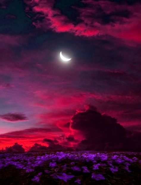 Red And Purple Wallpaper, Purple Moon Wallpaper, Red And Purple Aesthetic, Wallpaper Moon, Purple Moon, Moon Wallpaper, Aesthetic Purple, Purple Sunset, Red Sunset