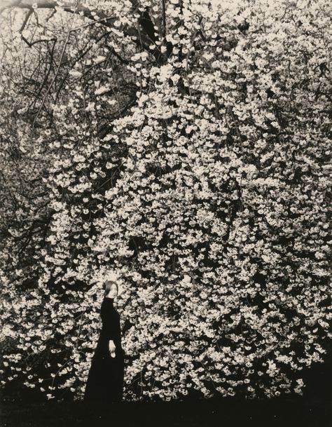 Masao Yamamoto, Japanese Countryside, Japanese Photography, Yamanashi, Contemporary Photographers, Foto Art, Freelance Photographer, White Photo, Black And White Photographs