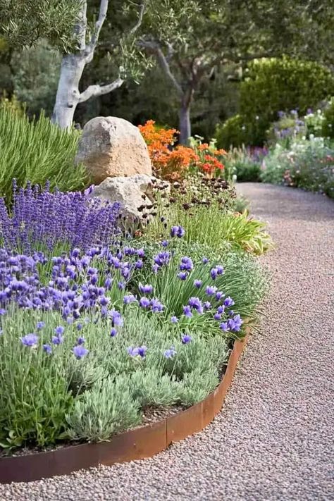 Beautiful Mediterranean garden with lavender and olive trees for a colorful backyard. Tuscan Backyard Ideas, Garden Ideas Mediterranean, Tuscan Backyard, Mediterranean Garden Ideas, Garden Mediterranean, Rustic Mediterranean, Garden Hedges, Jungle Gardens, Garden Tiles