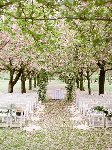 Photography: Sawyer Baird | Floral Design: Designs by Ahn | Venue: Brooklyn Botanic Garden Brooklyn Botanical Garden Wedding, Blossom Tree Wedding, Cherry Blossom Wedding Theme, Brooklyn Botanical Garden, Wedding Themes Spring, Botanical Garden Wedding, Garden Weddings Ceremony, Cherry Blossom Wedding, Outdoor Trees