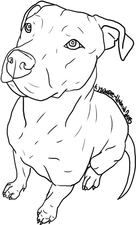 Bull Lineart, Pit Bull Drawing, Pitbull Drawing, Pitbull Tattoo, Pitbull Art, Dog Line Art, Pitt Bull, Bull Tattoos, Dog Line