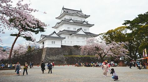 Hakone Travel: Odawara Castle (Odawarajo) Edo Castle, Odawara Castle, Odawara Japan, Asakusa Kannon Temple, Japan Summer, Castle Illustration, Japanese Castle, Japan Guide, Osaka Castle