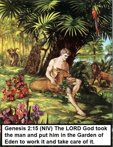 Genesis 2:15 (NIV) The LORD God took the man and put him in the Garden of Eden to work it and take care of it. Sermon Illustrations, Creation Bible, Oldest Bible, Book Of Genesis, Bible Stories For Kids, Trivia Questions And Answers, Childrens Bible, Bible Lessons For Kids, Bible Facts