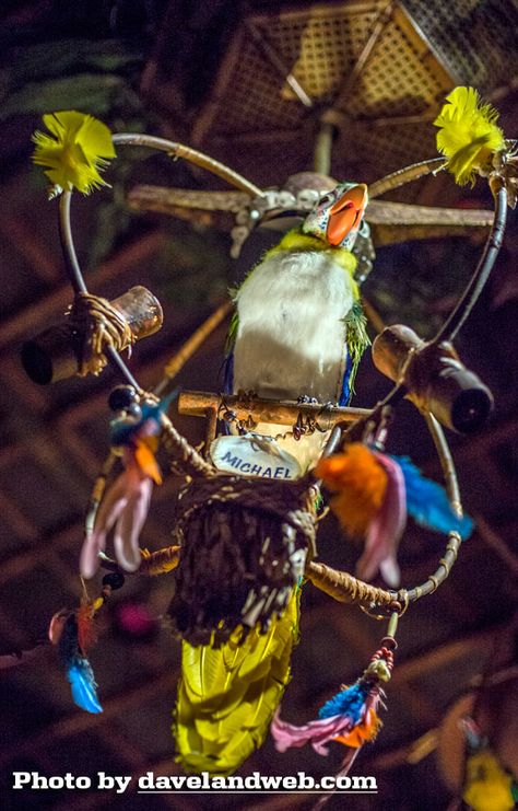 Tiki Room Disney, Walt Disney's Enchanted Tiki Room, Disney Enchanted, Tiki Decor, Tiki Bar Decor, Tiki Lounge, Enchanted Tiki Room, Disney Rides, Tiki Hut