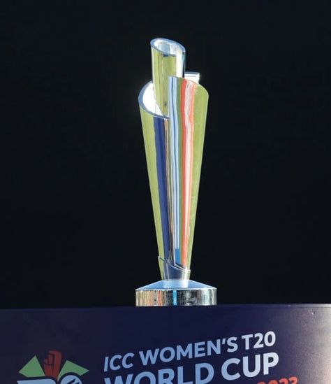 Makers of the ICC Women's T20 World Cup Trophy - Thomas Lyte Sports Trophy, Afc Asian Cup, Summer Reception, Sports Trophies, Trophy Case, World Cup Trophy, Custom Trophies, Custom Awards, T20 World Cup