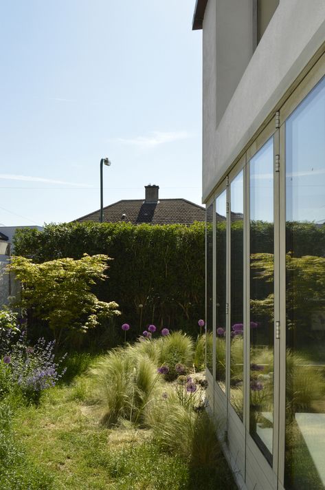 Gallery of A House in a Garden / David Leech Architects - 10 A House, A Garden, Architects, House Styles, Home Decor, Home Décor