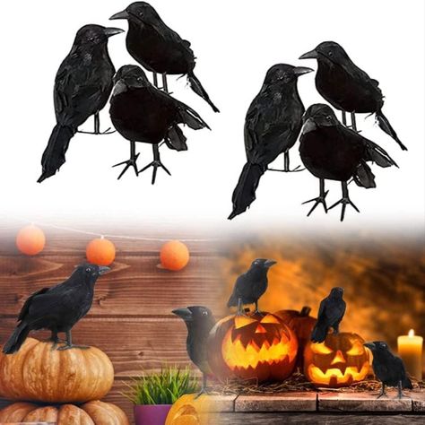 Fake Raven Black Feathered Crow, Realistic Crows Fake Raven for Halloween Decorations, Lifelike Raven Prop Raven Statue for Tree Haunted House Graveyard Tombstone Halloween Decor (6 Pcs) Crows Flying, Fake Birds, Raven Feather, Raven Bird, Crow Bird, Diy Halloween Decor, Black Birds, Crows Ravens, Flying Birds