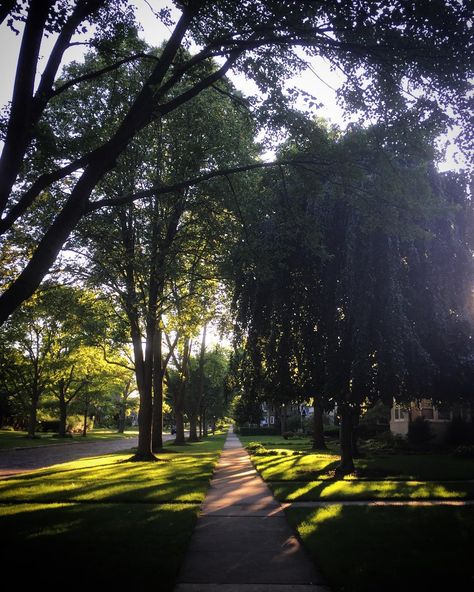 Chicago Suburbs Aesthetic, Summer In The Suburbs, Walkable Suburbs, Suburb Aesthetic, Suburban America, Suburbs Aesthetic, Journey Collage, Neighborhood Aesthetic, Crowded City