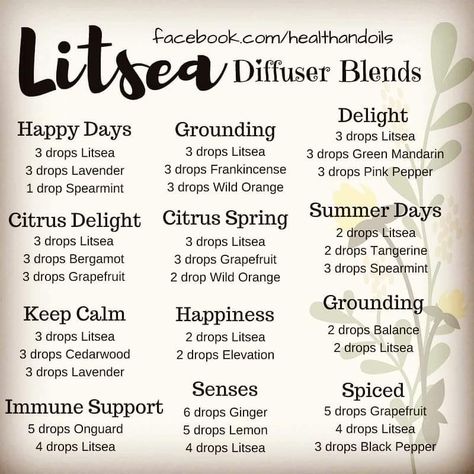 Litsea Essential Oils For Nausea, Essential Oil Chart, Essential Oils Blends, Terra Essential Oils, Scent Blends, Eo Blends, Doterra Diffuser, Doterra Oil, Doterra Diffuser Blends