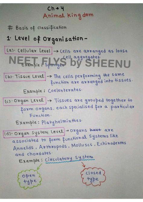 Animal kingdom 🦁 | Handwritten Notes | Class 11th | NEET | NCERT Nucleic Acid Structure, Motion Physics, Tissue Biology, Chemical Kinetics, Environmental Chemistry, Element Chemistry, Revision Tips, Physics Formulas, Functional Group