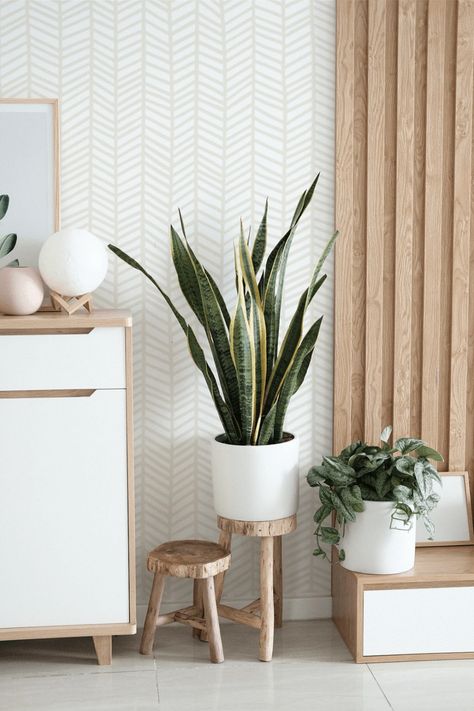 Find the perfect removable wallpaper for any space. Whether it's a backsplash, wall, or entire room, we'll help make the world your canvas! Wallpaper Herringbone, Wallpaper Store, Herringbone Wallpaper, Wallpaper Stores, Temporary Wallpaper, Wallpaper Accent Wall, Wallpaper Bedroom, Wallpaper Wall, Room Wallpaper