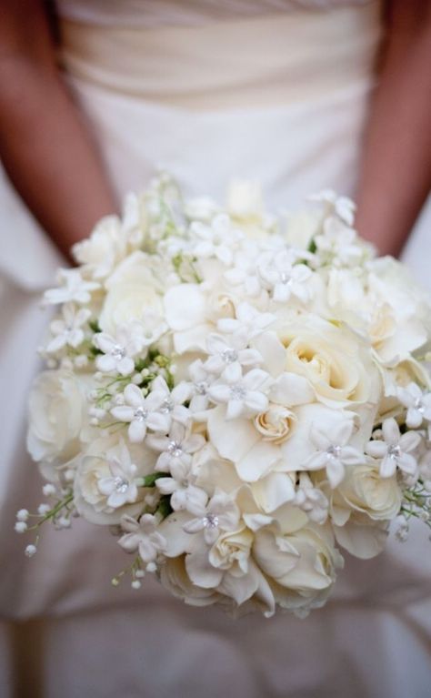 Check out this gorgeous bridal bouquet designed with stephanotis, gardenia and white roses. Classic, elegant and timeless - this monochromatic bouquet is a stunner for sure Gardenia Bridal Bouquet, Stephanotis Bouquet, Gardenia Bouquet, Gardenia Wedding, Small Wedding Bouquets, White Rose Bouquet, Beautiful Bridal Bouquet, White Roses Wedding, Wedding Bouquets Bride