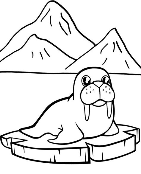 High-quality Walrus easy coloring page to print for free Artic Coloring Pages, Artic Animal Coloring Pages Free Printables, Walrus Coloring Page Free Printable, Artic Animals Coloring Pages, Arctic Animal Coloring Pages Free, Walrus Coloring Page, Winter Animals Coloring Pages, Fish Coloring, Urs Polar