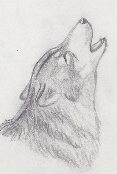 amp-pinterest in action Wolf Drawing Easy, Wolf Sketch, Drawing Hands, Animal Drawings Sketches, Wolf Drawing, Moon Drawing, Wolf Howling, Pencil Art Drawings, Art Drawings Sketches Creative