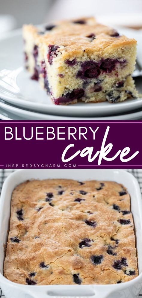 Nothing compares to this homemade blueberry cake! Light, moist, and packed with fresh blueberries, this easy dessert recipe is delicious. You'll want a slice of this simple sweet treat for a breakfast idea! Easy Blueberry Cake Recipes, Simple Blueberry Cake Designs, Easy Blueberry Cake Simple, Fresh Blueberry Recipes Easy, Blueberry Ricotta Breakfast Cake, Cake Recipes Blueberry, Ricotta Breakfast Cake, Easy Blueberry Cake, Homemade Blueberry Cake