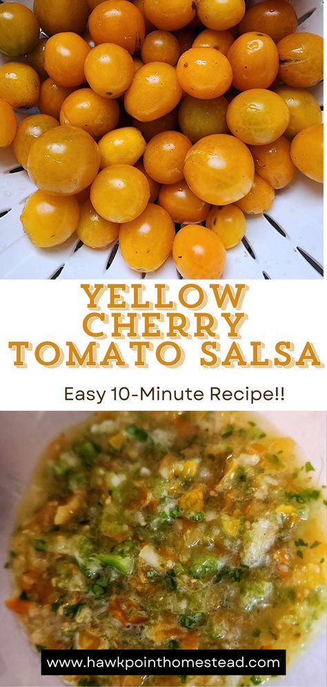 Salsa With Yellow Tomatoes, Yellow Tomato Recipes Salsa, Salsa With Cherry Tomatoes Recipe, Orange Cherry Tomato Recipes, Yellow Cherry Tomato Recipes, Yellow Tomato Recipes, Yellow Tomato Salsa, Blueberry Jalapeno Jelly Recipe, Cherry Tomato Salsa Recipe