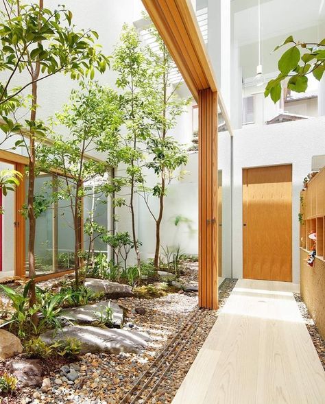 Indoor Garden Architecture, Indoor Garden Aesthetic, Indoor Atrium, Small Indoor Garden, Indoor Garden Design, Herb Garden Indoor, Indoor Zen Garden, Atrium Garden, Design Garden Ideas