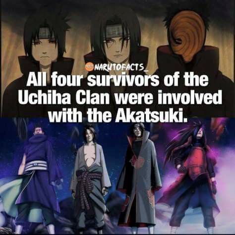 Oh gosh Boruto Facts, Akatsuki Clan, Naruto Facts, Anime Facts, Naruto Quotes, Naruto Images, Naruto Uzumaki Art, Naruto Comic, Uchiha Clan