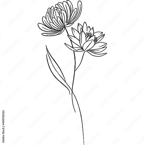 Simple Chrysanthemum Tattoo Outline, One Line Chrysanthemum Tattoo, Crysanthemum Tattoo Simple Line, Easy Chrysanthemum Drawing, Chrysanthemum Flower Drawing Simple, Chrysanthemum Line Drawing, Chrysanthemum Tattoo Stencil, Minimalist Chrysanthemum Tattoo, Chrysanthemum Doodle