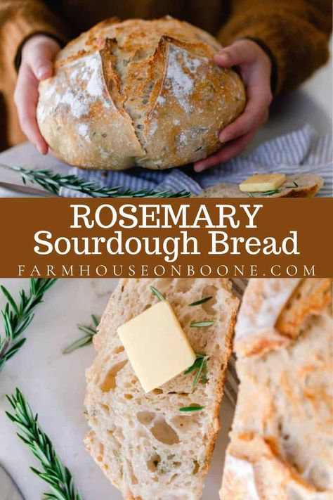 This rosemary sourdough bread recipe is crusty on the outside, chewy on the inside and packed full of rosemary flavor. Fragrant herbs are baked into this glorious round loaf. #farmhouseonboone #sourdough #rosemarysourdoughbread #sourdoughbread Sourdough Bread Recipes Homemade, Easy Same Day Sourdough Recipes, Garlic Rosemary Sourdough Bread, Sourdough Recipes Healthy, Easy Sourdough Discard Recipes Healthy, Garlic Bread Sourdough, Rosemary Sourdough Bread Recipe, Healthy Sourdough Recipes, Rosemary Garlic Sourdough