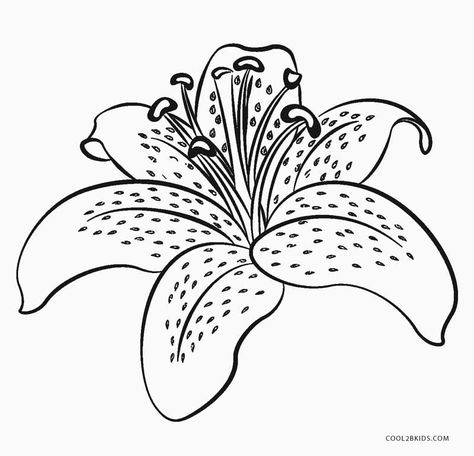 Free Printable Flower Coloring Pages For Kids Flower Coloring Pages For Kids, Flower Colouring In, Tulsi Vivah, Flower Coloring Sheets, Printable Flower Coloring Pages, Arte Quilling, Printable Flower, Flower Outline, Flower Art Drawing