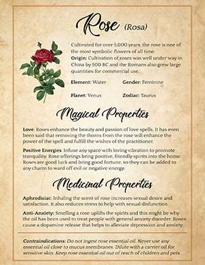 Printable grimoire page of rose Witch Essentials, Witchy Items, Magickal Herbs, Green Witchcraft, Magic Spell Book, Magic Herbs, Kitchen Witchery, Magical Herbs, Magical Things