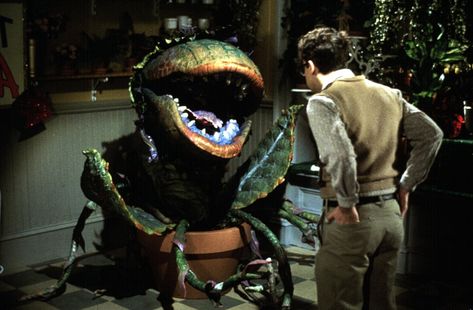 Little Shop of Horrors Scary Movies For Kids, Audrey 2, Rick Moranis, Audrey Ii, Little Shop Of Horrors, Kids' Movies, Kid Movies, Movie Monsters, Halloween Movies