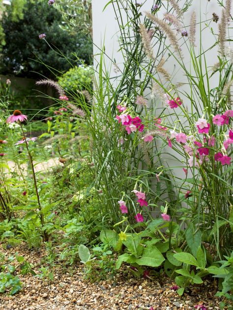 Nicotiana blooms against the house. Garden Nook, Lawn Care Tips, Gravel Garden, Water Fountains, Flower Landscape, Backyard Retreat, Corten Steel, Beautiful Backyards, Decoration Party